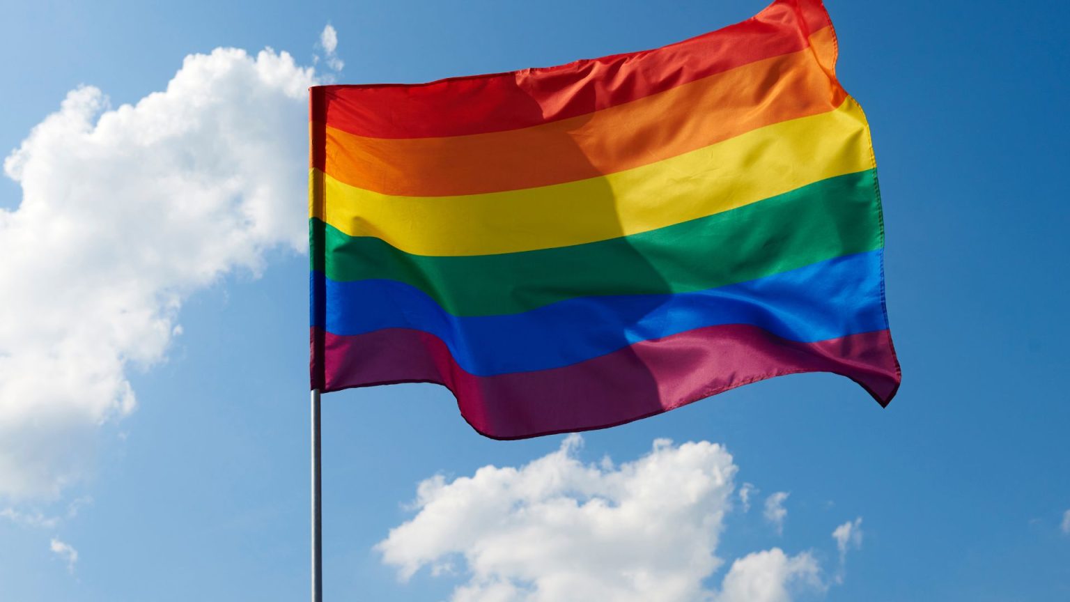 Dia Do Orgulho LGBTQIAPN Entenda O Significado Da Sigla