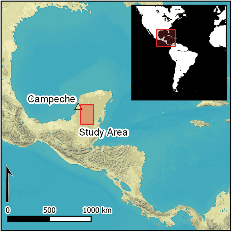 Descoberta cidade perdida do período clássico maia