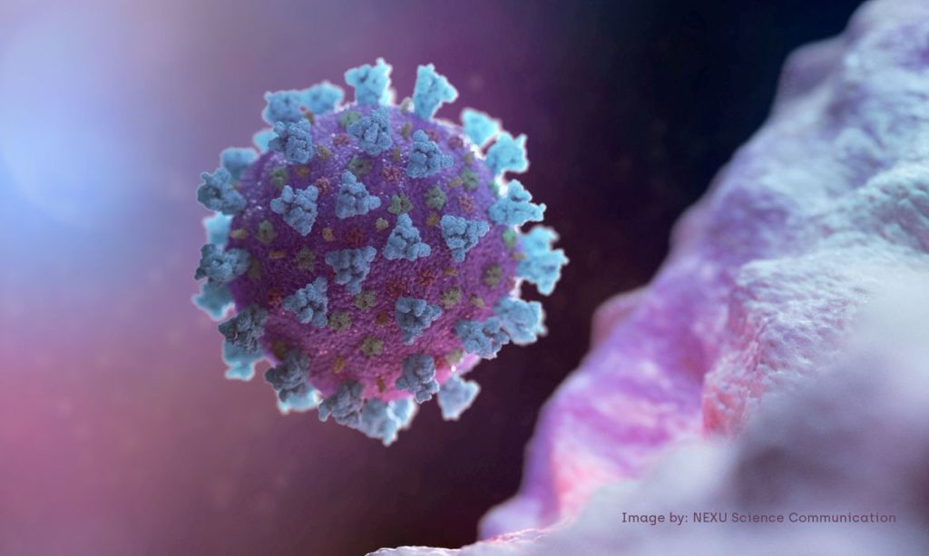 estudo-da-unb-investiga-cepas-do-novo-coronavirus-encontradas-no-df
