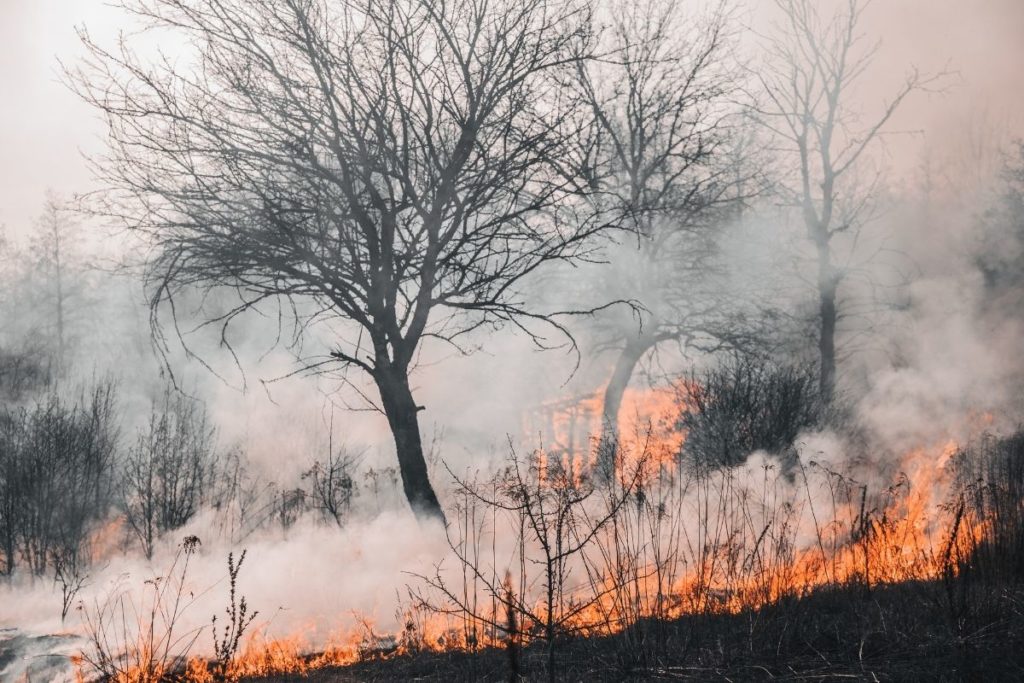 Em sete meses, Minas Gerais tem o maior número de incêndios em 11 anos