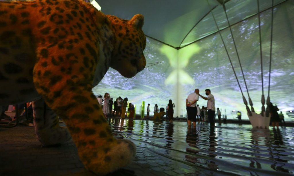 pavilhao-do-brasil-recebeu-12-mil-visitantes-em-tres-dias-da-expo-2020