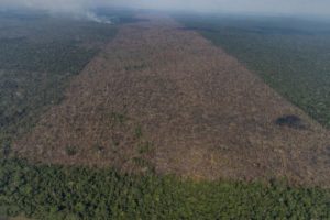 Amazônia perdeu área maior do que 4 mil campos de futebol por dia em setembro