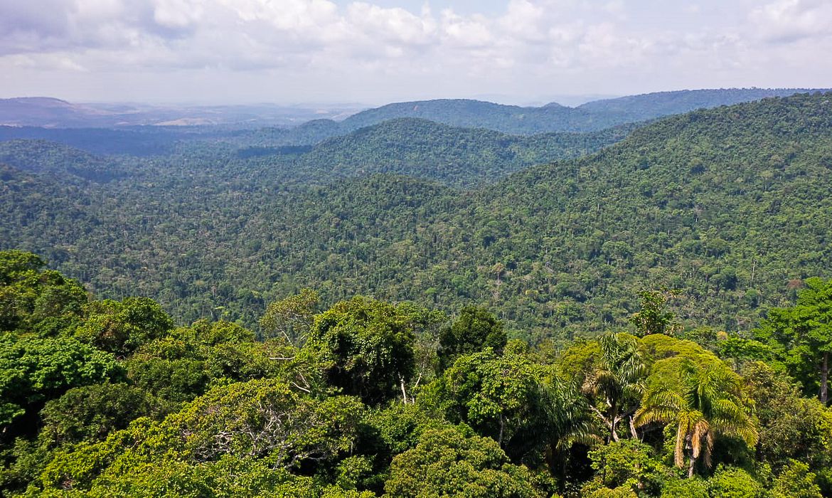 governo-lanca-plataforma-de-incentivos-para-preservacao-de-florestas