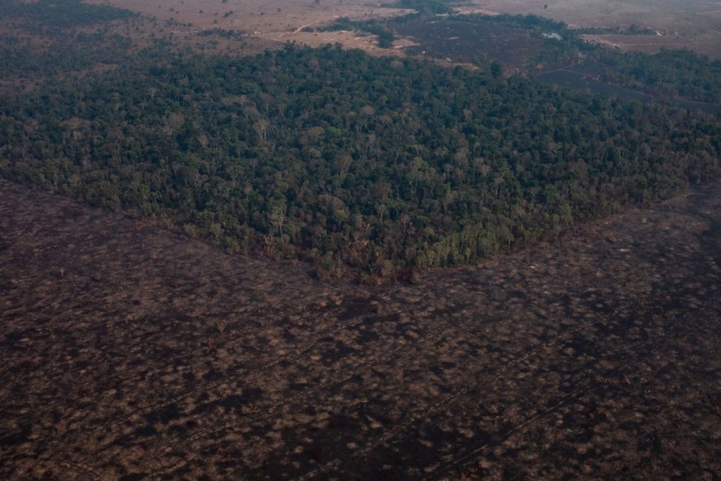 Amazônia tem alta no desmatamento; 'é inaceitável’ diz Ministro do Meio Ambiente