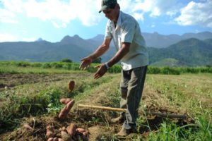Projetos de agricultura sustentável vão receber US$ 1,2 bi do BID