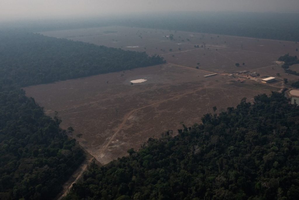 Desmatamento na Amazônia caiu 12% após novo recorde, diz governo