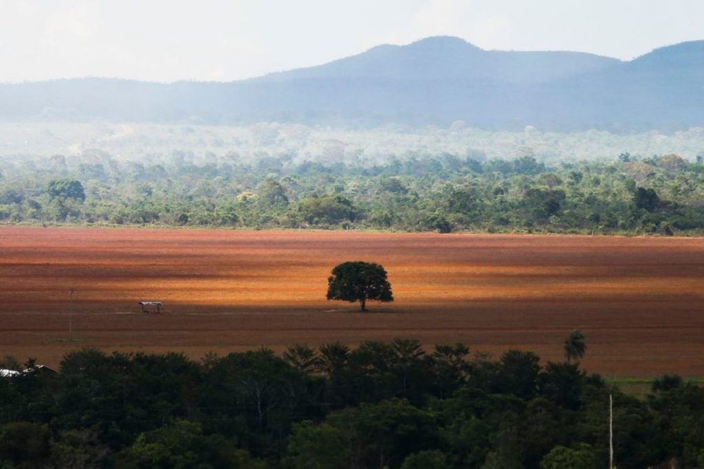 brasil-nao-tera-informacoes-sobre-desmatamento-no-cerrado-a-partir-de-abril