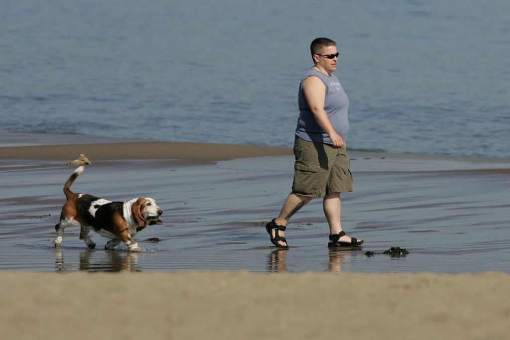 comeca-a-valer-em-santos-lei-que-permite-cachorros-na-praia