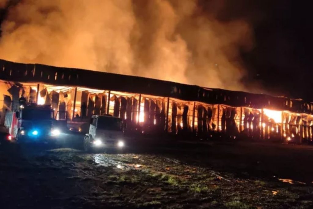 Fábrica de maçãs é atingida por incêndio no Rio Grande do Sul