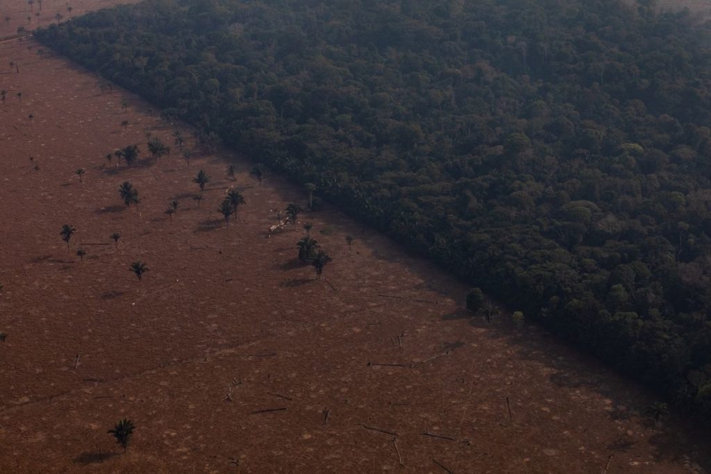 Amazônia tem recorde de alerta para desmatamento para um mês de fevereiro