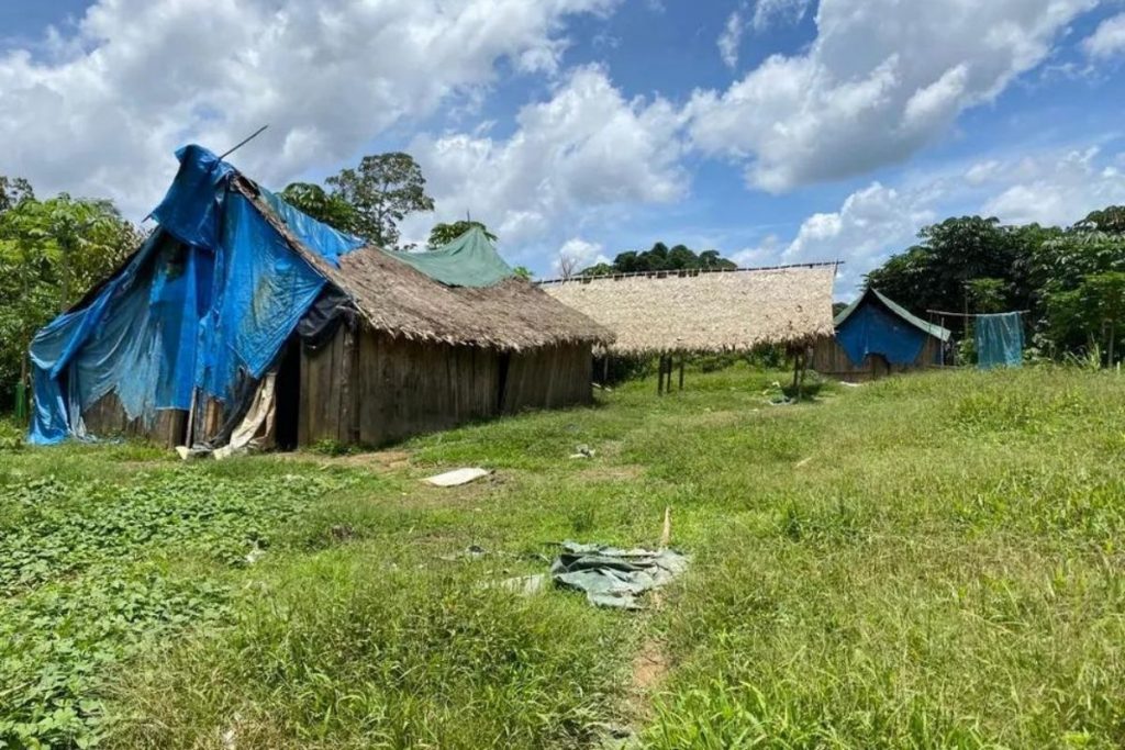 Funai diz não ter encontrado indícios de crimes em terra Yanomami