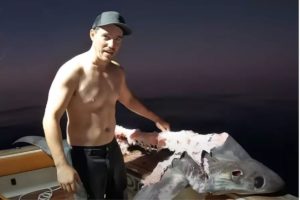 pescadores-australianos-descobrem-que-tubarao-jatinha-sido-devorado
