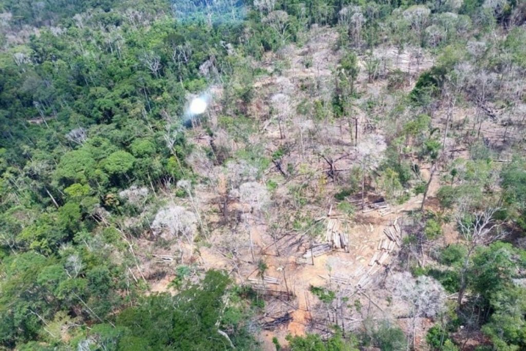 PF investiga desmatamento ilegal na terra indígena Menkragnoti