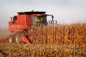 Brasil negocia compra de fertilizantes na Jordânia, Egito e Marrocos
