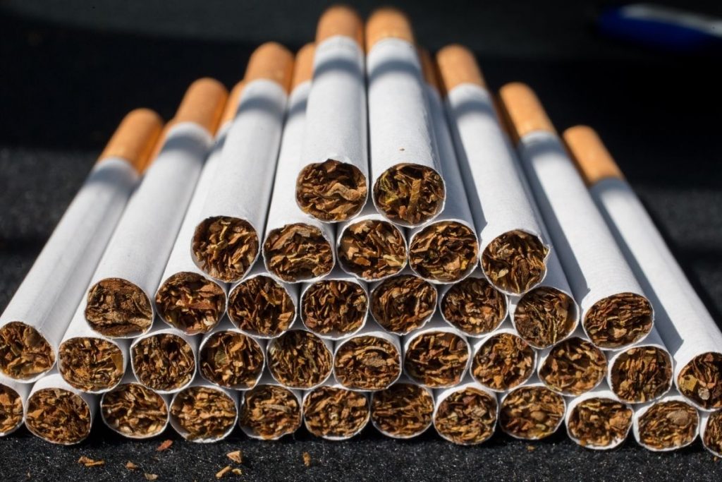 Fiocruz alerta para malefícios ambientais do tabaco