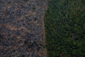 Mourão e Guedes discordam sobre desmatamento no Brasil