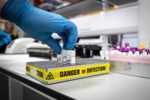 OMS espera que mais casos de varíola dos macacos surjam globalmente