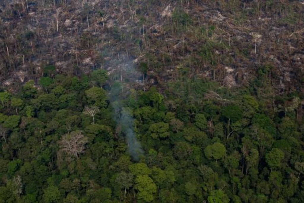 ministerio-do-meio-ambiente-colocou-em-risco-continuidade-do-fundo-amazonia-aponta-relatorio