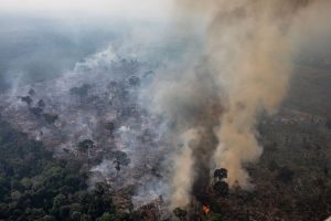 Calendário define áreas em emergência ambiental por incêndio florestal