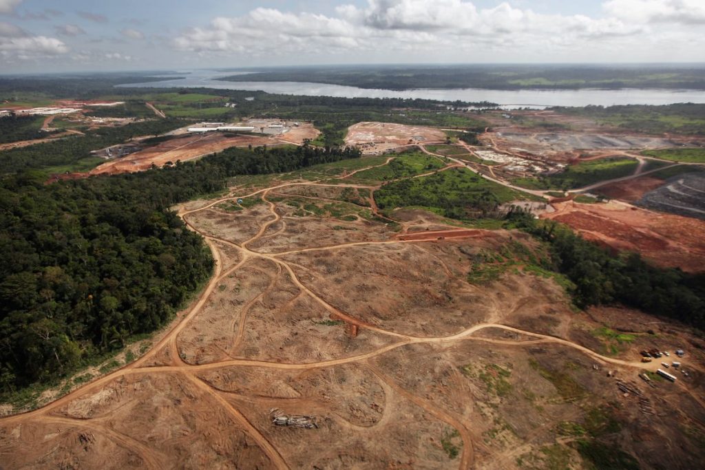 Eurodeputados vão ao Pará para avaliar desmatamento