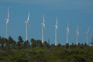 Geração instantânea de energia eólica no Nordeste tem novo recorde
