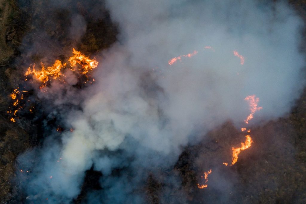 Incêndios no Pantanal motivam estado de emergência em 14 cidades do MS