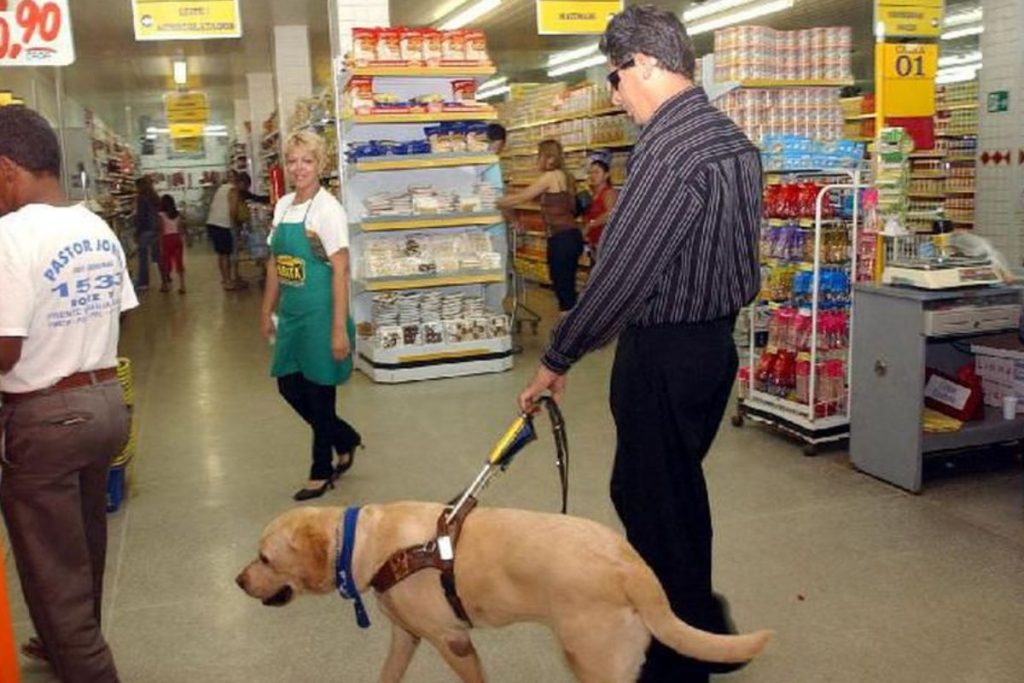 Geral Rio permite consumidor entrar em supermercado com cães e gatos
