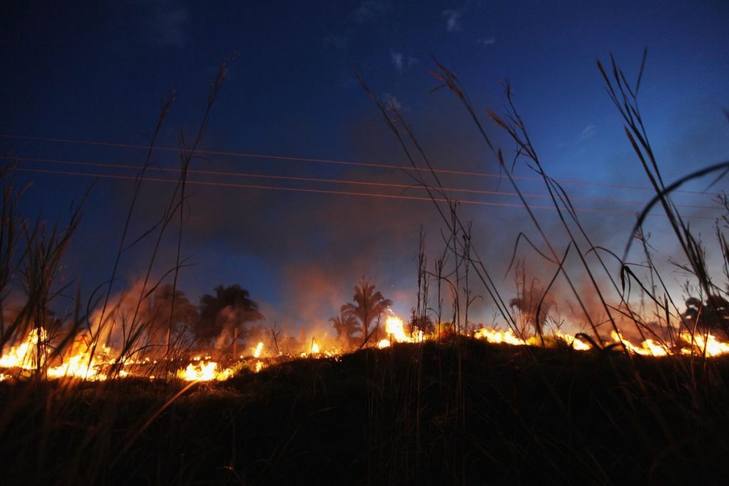 amazonia-tem-aumento-de-8-nos-incendios-em-julho-em-comparacao-ao-ano-passado-diz-inpe