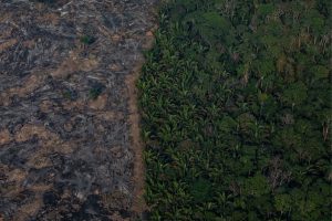 Garimpeiros ilegais apropriaram-se de mais de 1,2 mil pistas irregulares na Amazônia