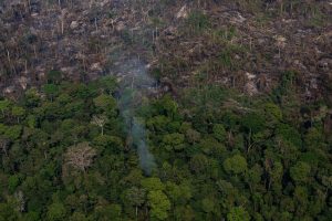 Morre último remanescente de grupo indígena isolado na AmazôniaMorre último remanescente de grupo indígena isolado na Amazônia
