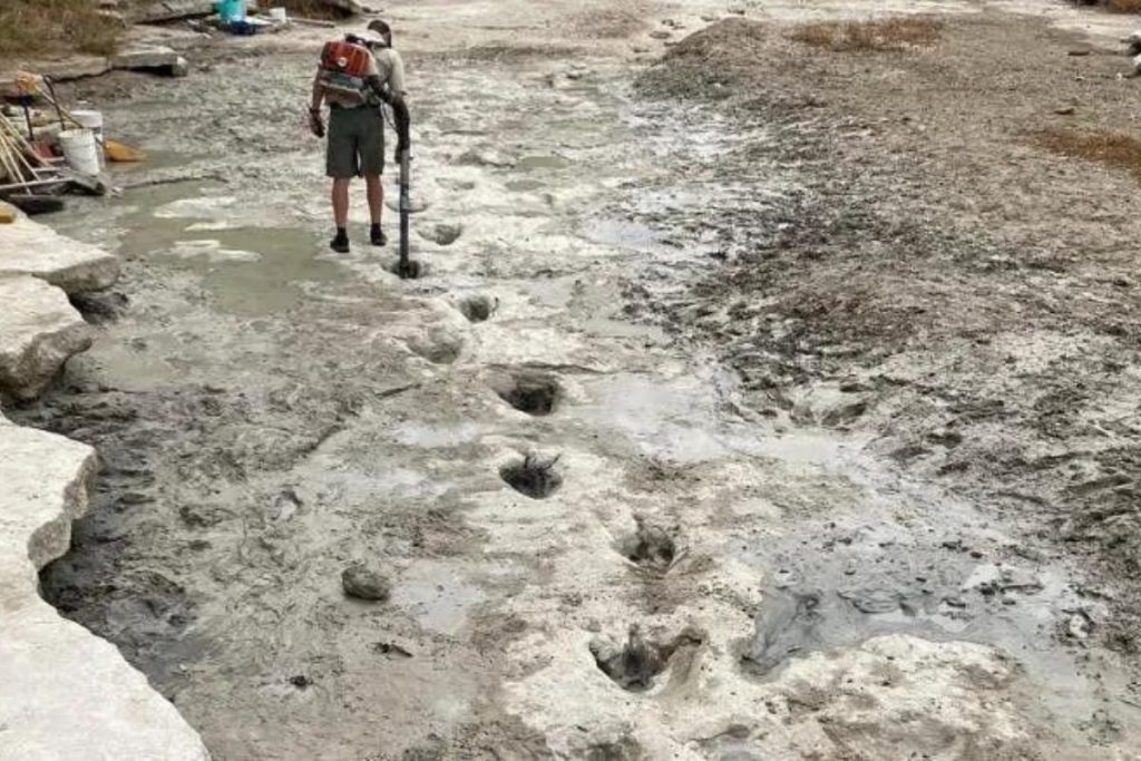 pegadas-de-dinossauros-de-113-milhoes-de-anos-sao-descobertas-no-texas-em-rio-que-secou