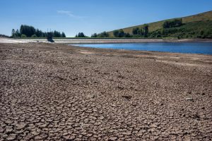 Reino Unido declara estado de seca