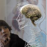 Stanislas Dehaene “Na ciência não fazemos mais distinção entre cognição e emoção”
