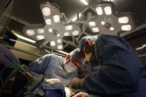 USP e MCTI investem R$ 10 milhões em pesquisa para transplantes