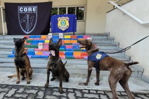  PRF faz apreensão de pasta de cocaína no estado do Rio