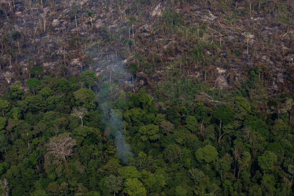 Alertas de desmatamento na Amazônia batem recorde