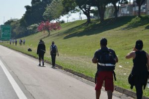Estradas paulistas têm reforço na fiscalização durante o feriado