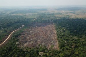 Brasil apresenta na COP27 projeto que pode recuperar áreas degradadas