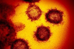 duas-novas-linhagens-do-coronavirus-sao-identificadas-no-brasil