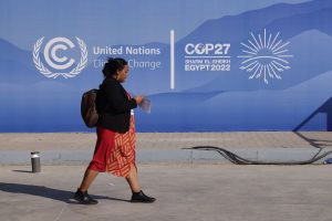 Energia verde será destaque do Brasil na COP27, diz ministro
