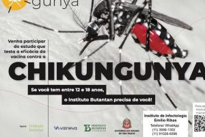 instituto-recruta-voluntarios-para-teste-de-vacina-contra-chikungunya