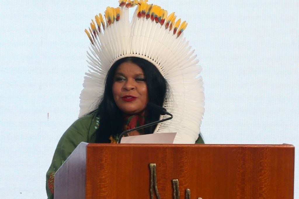 Ministra dos Povos Indígenas espera demarcação de 14 áreas este ano
