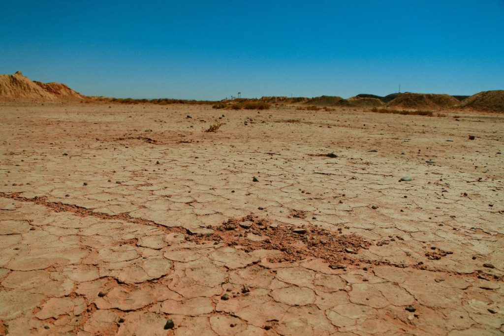 Argentina sofre com seca histórica; agricultura e pecuária são afetadas