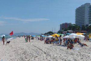 Comlurb retira 280 toneladas de gigogas da praia da Barra da Tijuca  