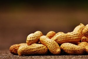 União Europeia retira necessidade de certificação para importação de amendoim brasileiro