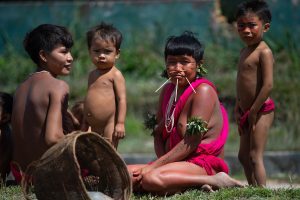 MPF diz que situação dos Yanomami foi causada por omissão do Estado