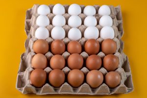Volume das exportações de ovos cai em 2022; receitas aumentam