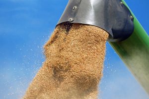 Brasil perde quase 16% da safra de grãos, segundo estudo da Conab