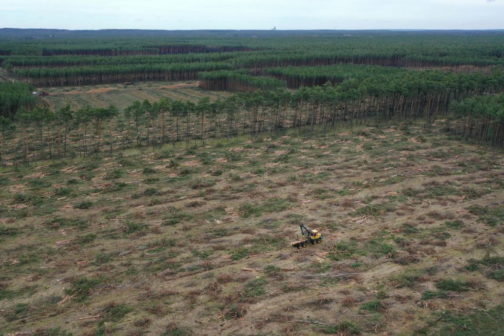Desmatamentos-em-fazendas-no-Pantanal