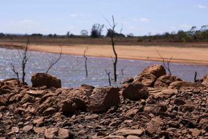 Comitiva de ministros vai ao Rio Grande do Sul conferir prejuízos com a seca